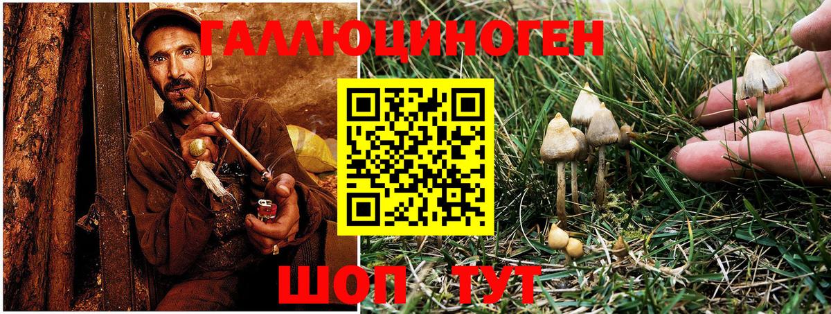 Псилоцибиновые грибы Psilocybine cubensis  Галлюциногенные грибы прущие грибы  Вход с VPN  Алексеевка 